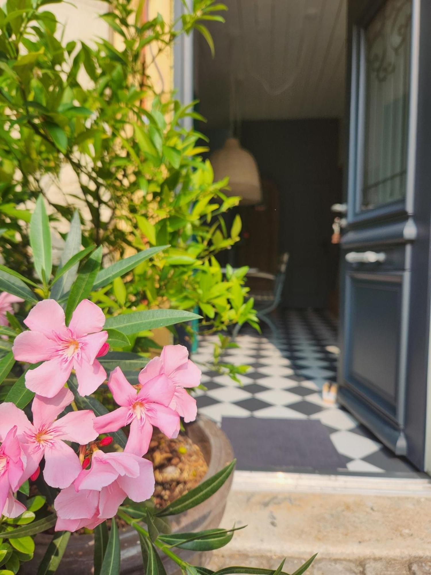 La Maison Mulato Libourne Pokój zdjęcie